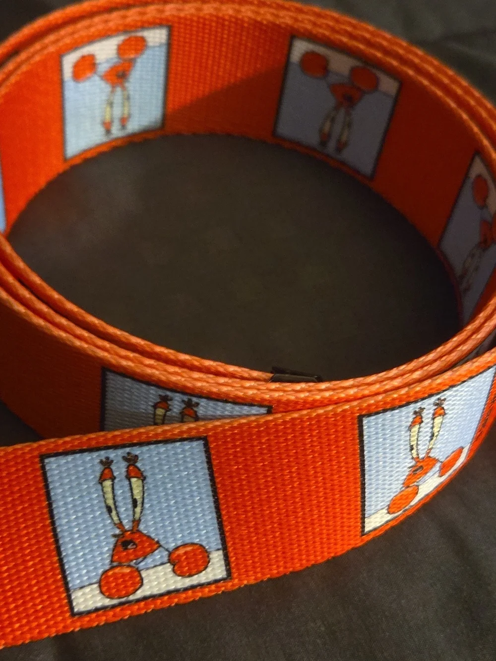 SpongeBob x DD Orange Graphic Web Belt